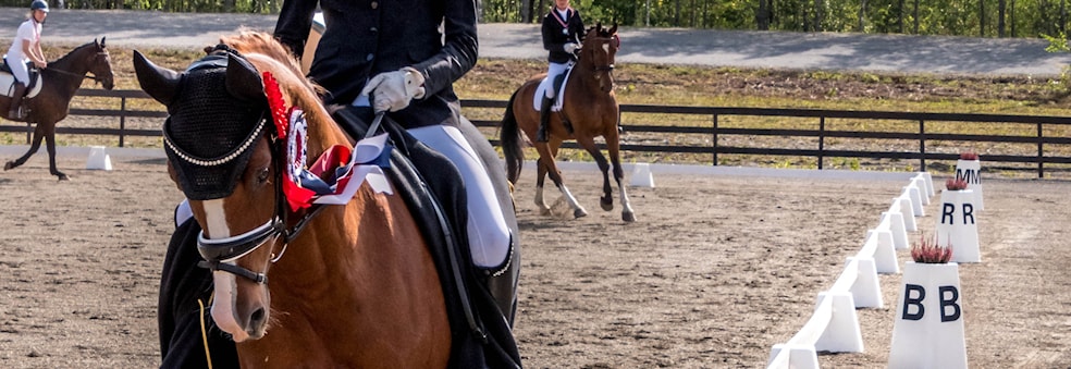 Stevne-dag og program-dag på banen vår!